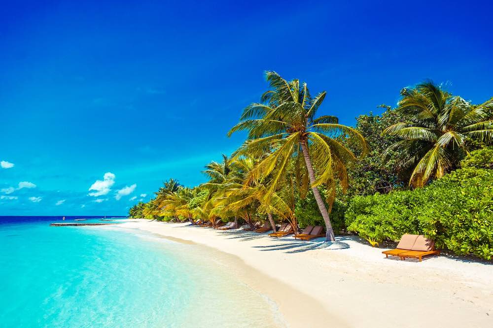 Deluxe Beach Villa photo 3
